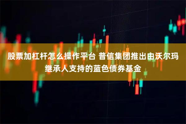 股票加杠杆怎么操作平台 普信集团推出由沃尔玛继承人支持的蓝色债券基金