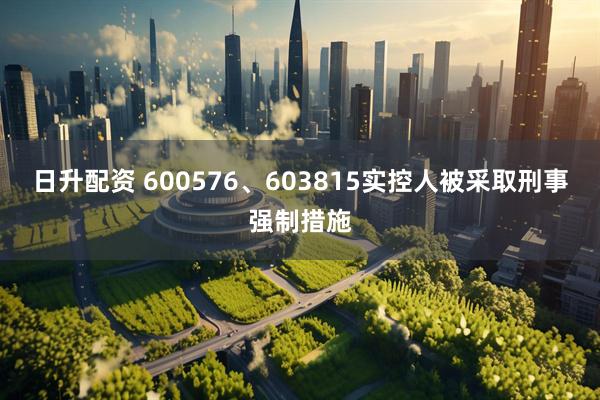 日升配资 600576、603815实控人被采取刑事强制措施